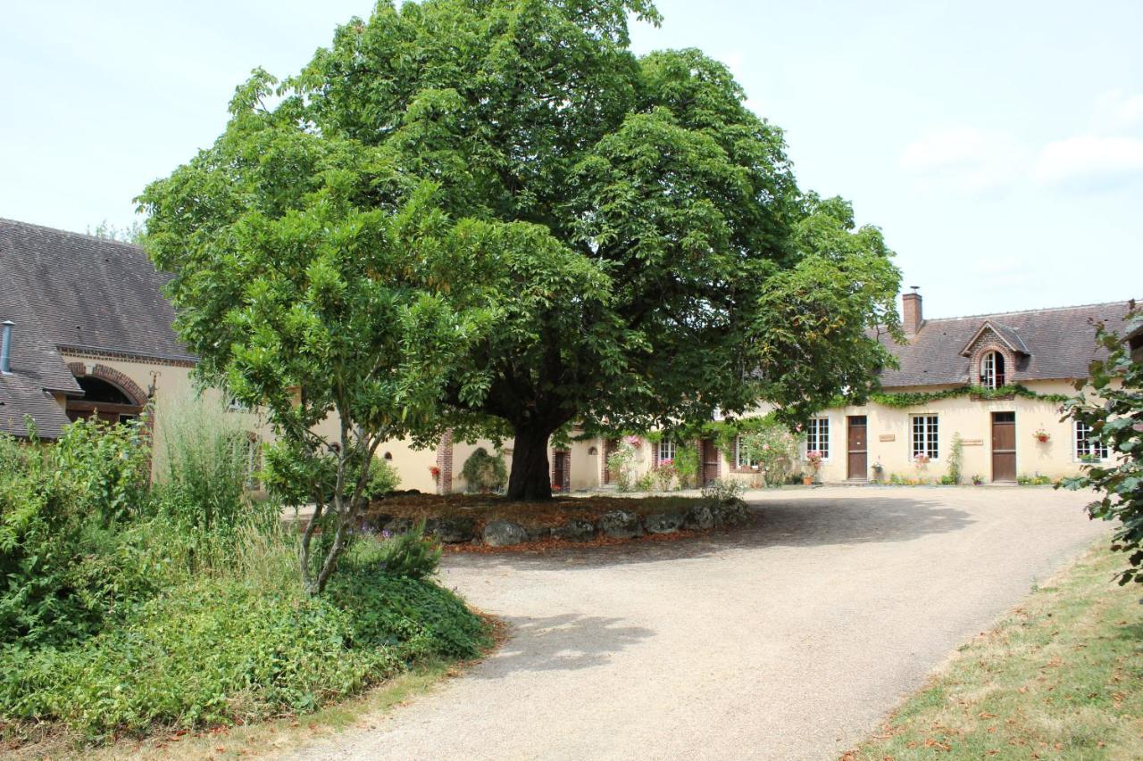 Gite Des Etangs De Beaulieu Le Plessis-Dorin Exteriör bild