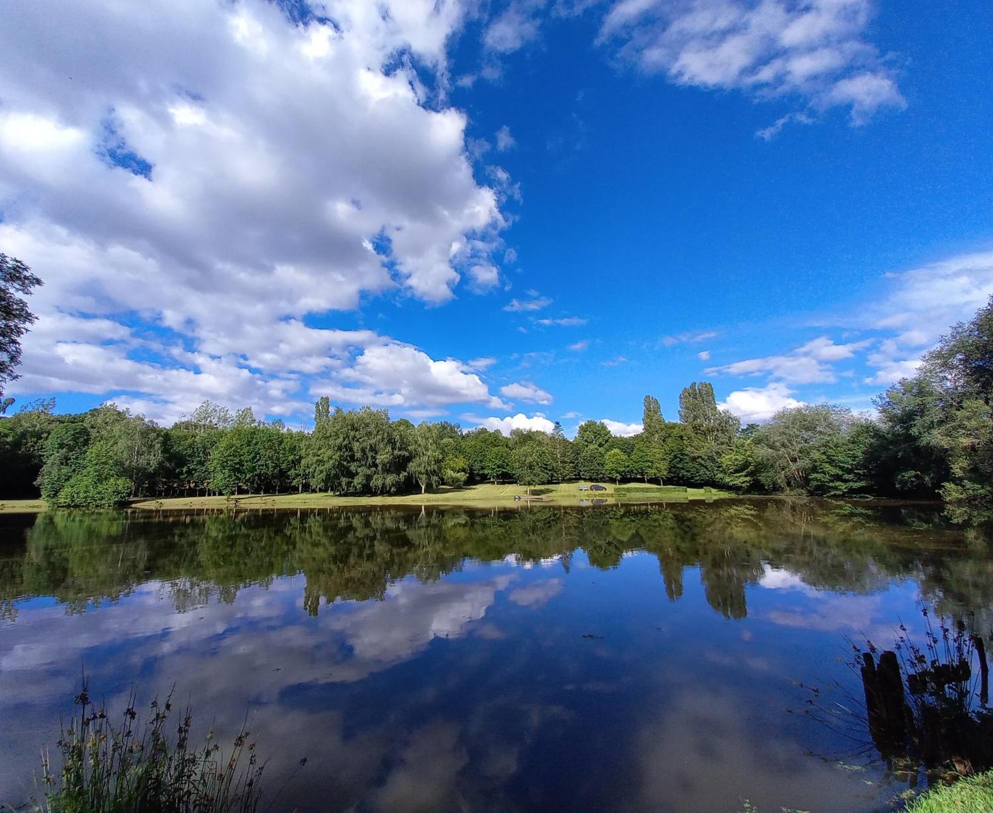 Gite Des Etangs De Beaulieu Le Plessis-Dorin Exteriör bild
