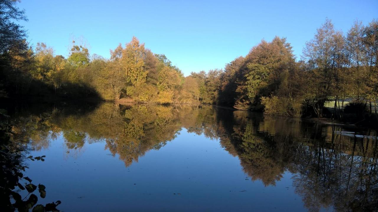 Gite Des Etangs De Beaulieu Le Plessis-Dorin Exteriör bild